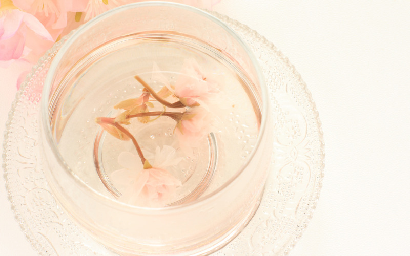 Trà Sakura làm từ cánh hoa anh đào muối có màu hồng đẹp mắt.