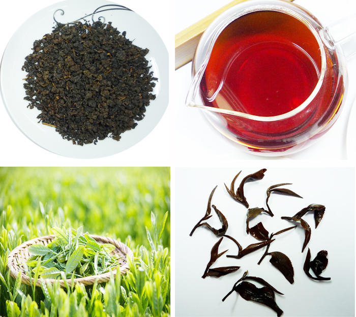 Trà xanh và trà đen thức uống có lợi cho sức khỏe 