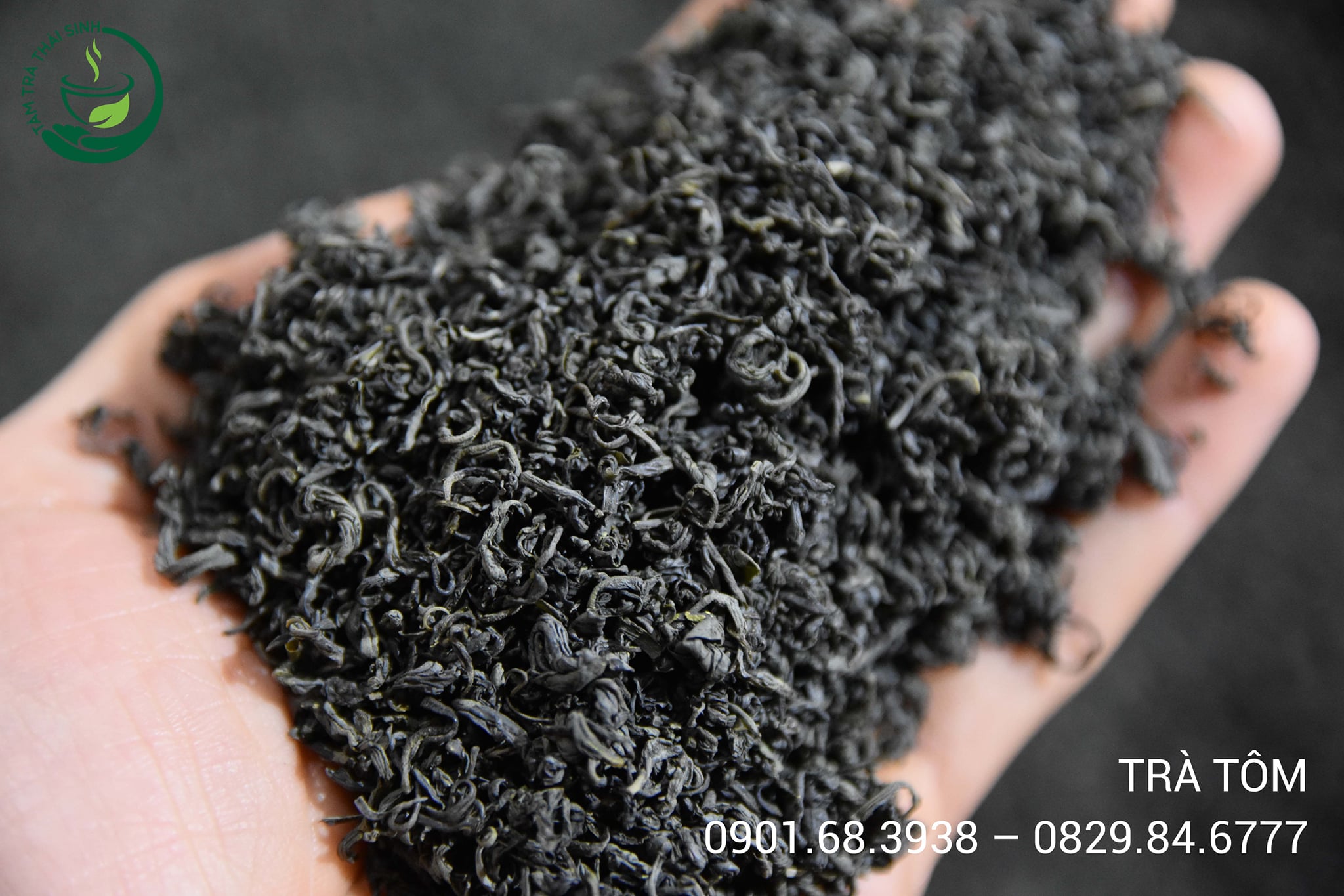166748810_159784562677412_1623116571920227711_n-1 trà Tôm