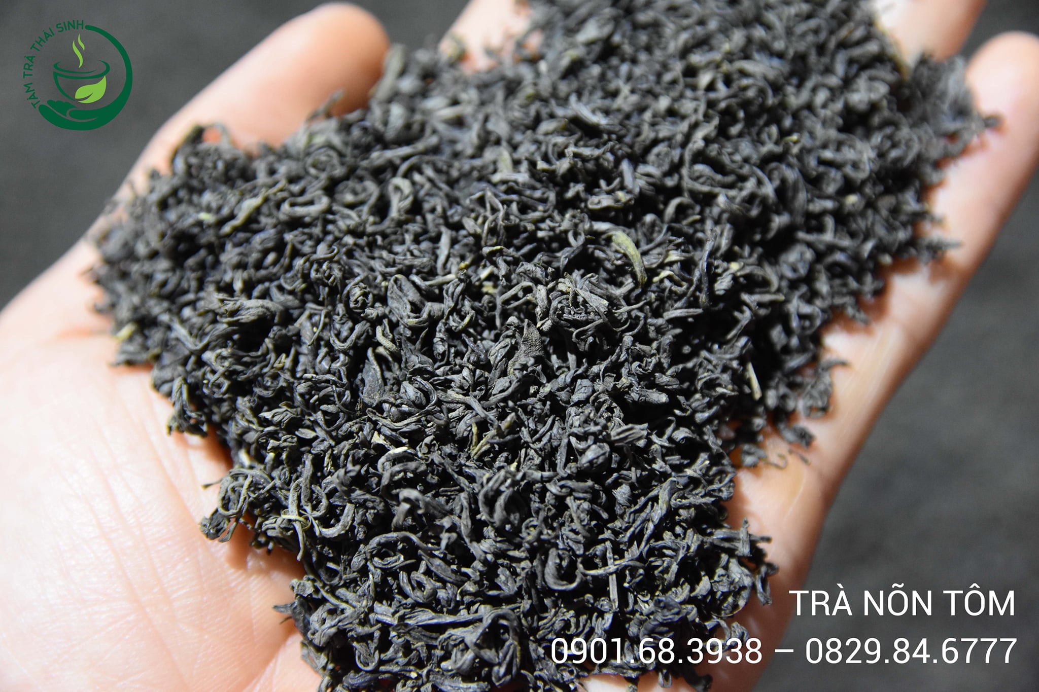 167539734_159784542677414_9182992194193958718_n-1 Trà Nõn Tôm