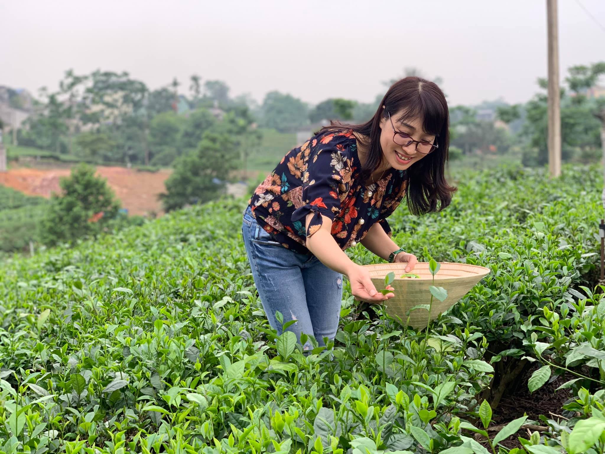 TẢN MẠN CHIỀU TÂN CƯƠNG
