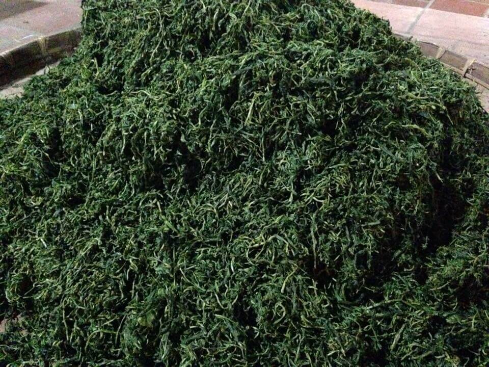 198d8f5c8f5b6f05364a