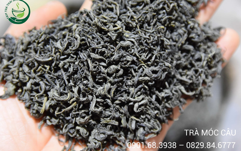 Trà móc câu Tân Cương thượng hạng