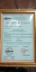 Chứng nhận VietGap