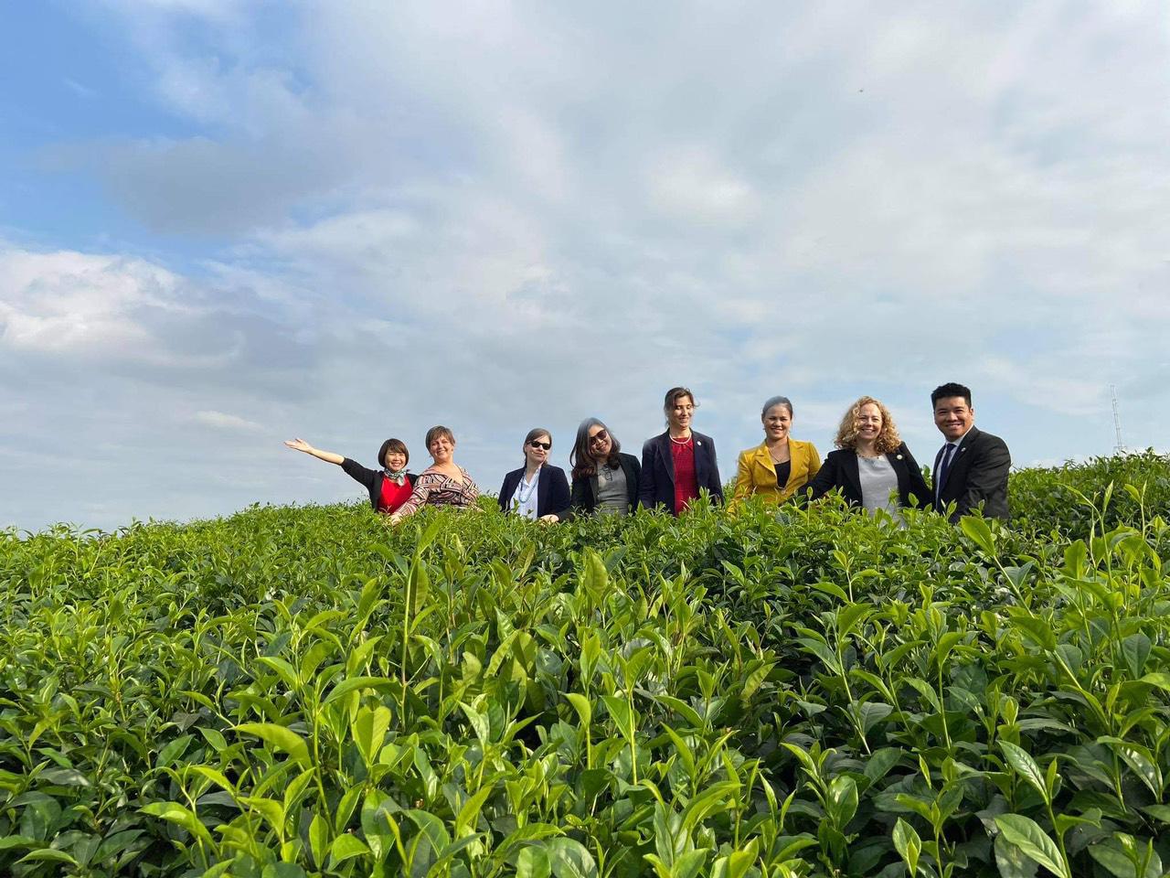 HTX Tâm Trà Thái – Cơ sở chính gốc chè Tân Cương