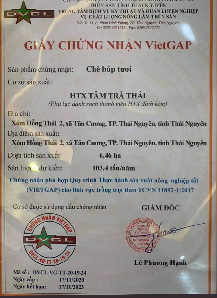 Vietgap Tâm Trà Thái