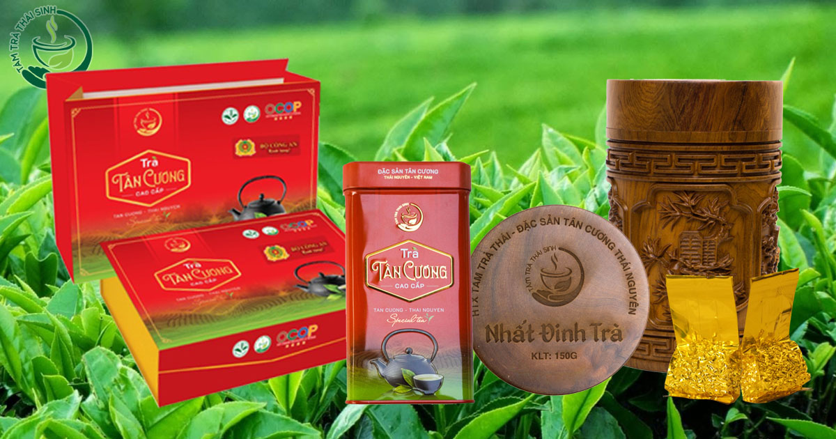 Trà Tân Cương Thái Nguyên