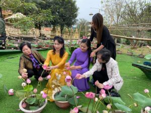 không gian văn hóa sen