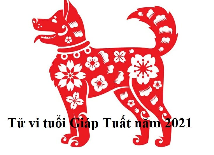 tu-vi-tuoi-giap-tuat-nam-2021-tu-vi-tuoi-1994-nam-mang-nam-2021-1 Tử Vi Tuổi Giáp Tuất 2021